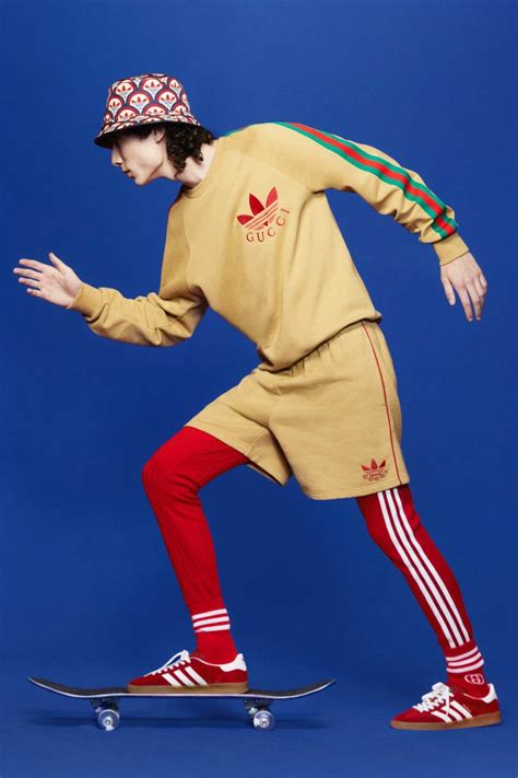 gucci adidas trening